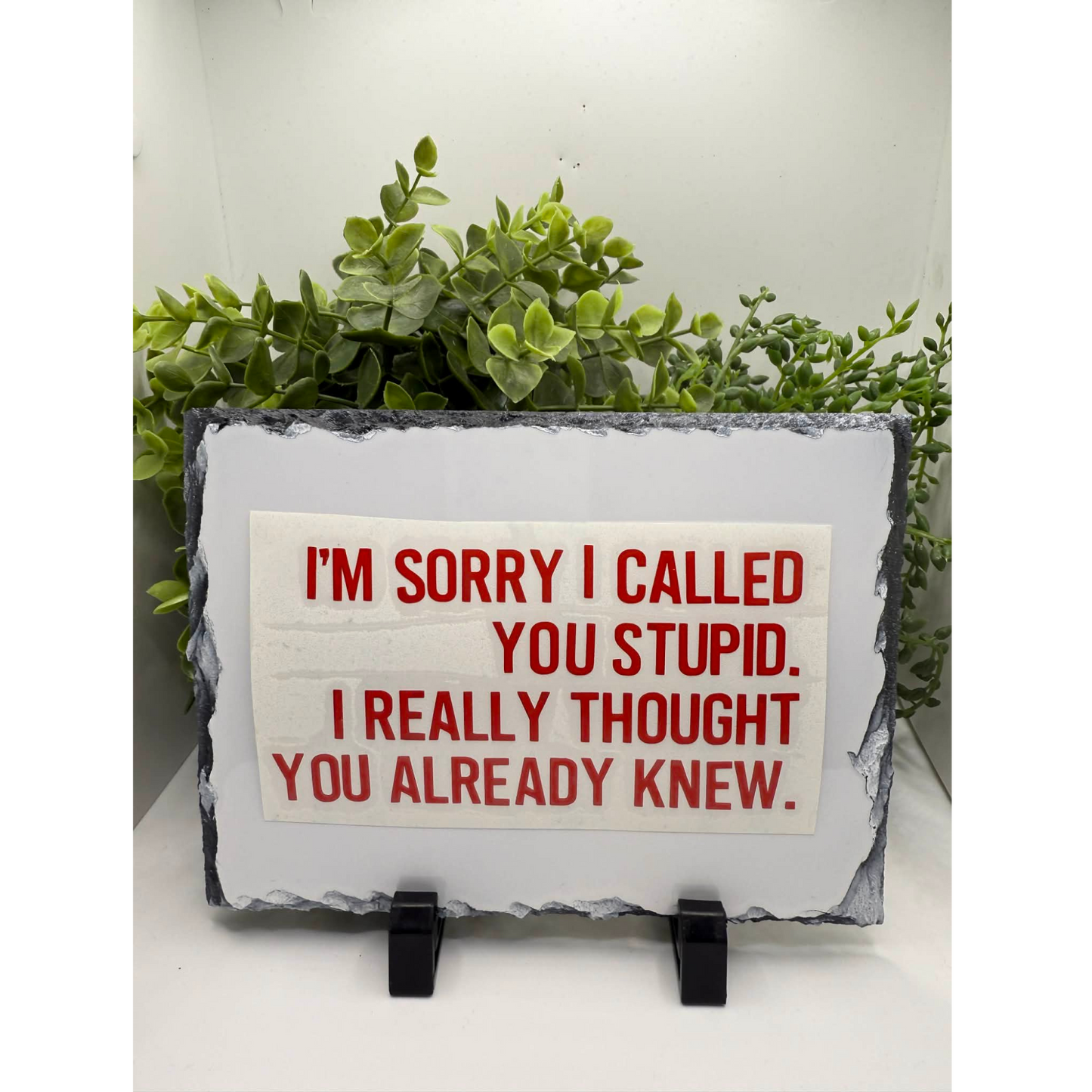 I'm Sorry I Called You Stupid Decal