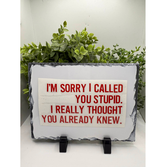 I'm Sorry I Called You Stupid Decal